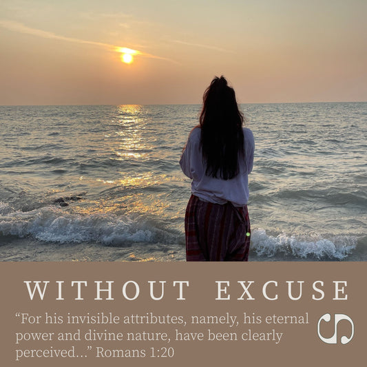 Without Excuse